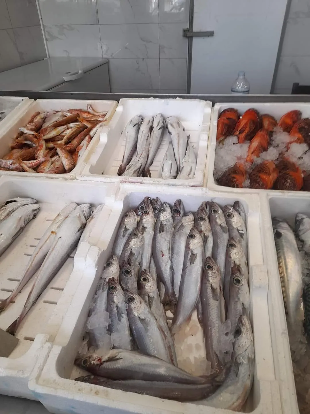 Hand-selected fresh Aegean fish at Skiathos Fish Market